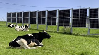 Le projet expérimental Solélab vise à déployer plusieurs technologies afin d'optimiser l'agrivoltaïsme en élevage bovin lait. Le projet expérimental Solélab vise à déployer plusieurs technologies afin d'optimiser l'agrivoltaïsme en élevage bovin lait.